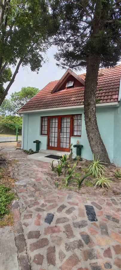 Cozy Cottage +/- 500M From The Beach كيب تاون المظهر الخارجي الصورة